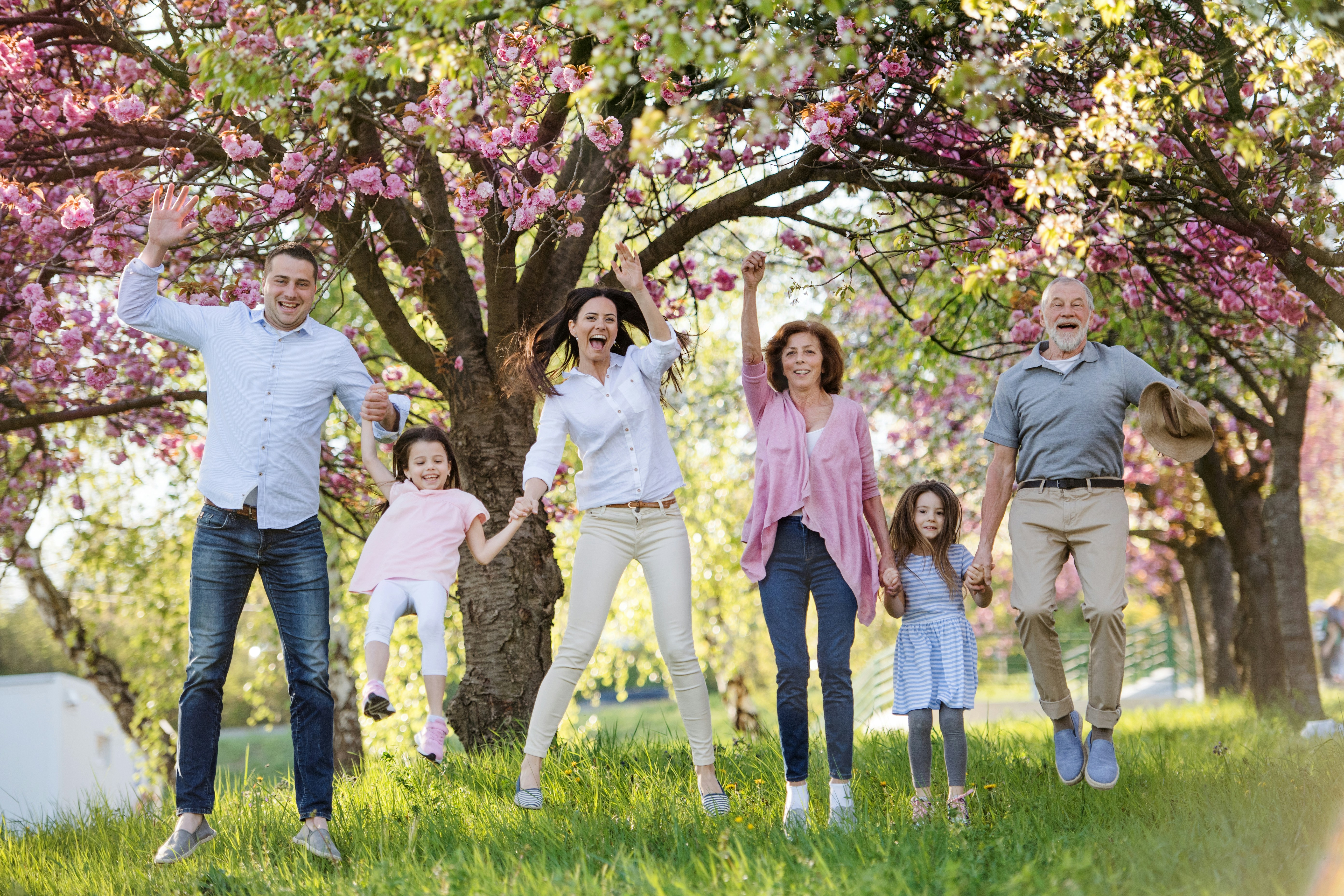 Family under Tree