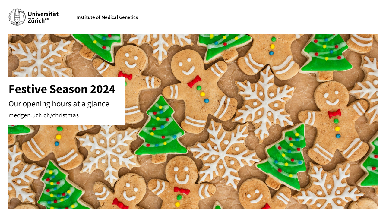 XMAS 2024 en